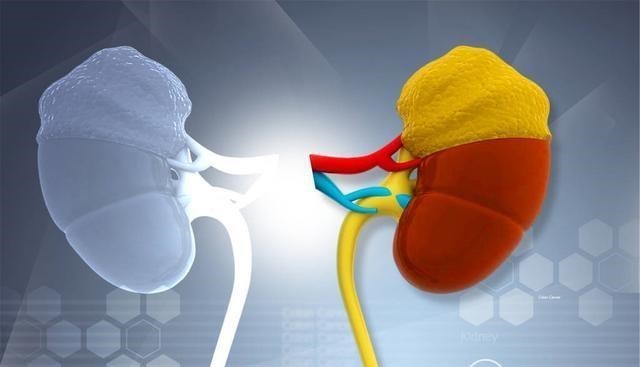 肾病|为何“肾病”越来越多?3物或是诱因,请撤离餐桌,忍住就是赢