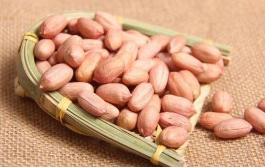 疾控▲小小花生米的“大作用”，早上吃几粒，3个好处从天而降