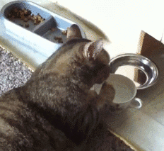 ▲开心一刻：老爸不让俺炫富，同学们都以为俺是农村的土鳖…