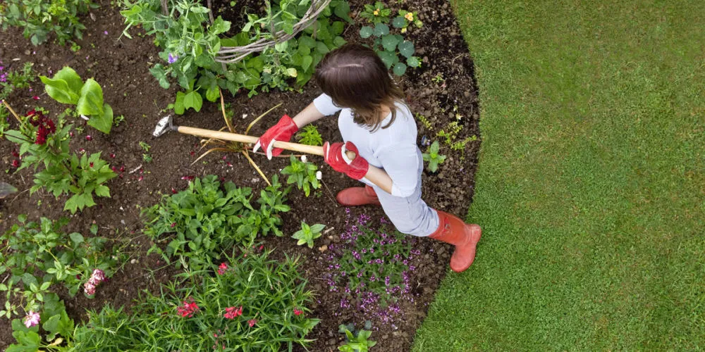 money|Old Money最爱的庭院，原来是这样设计的？！