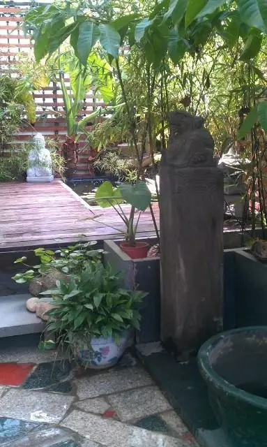 『』露台改造：梦想“日式花园” 享受DIY乐趣生活