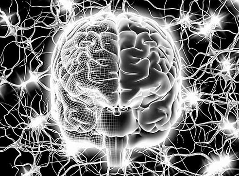 ▲?如果人类缩小100倍，我们还能统治世界吗？答案让人意想不到