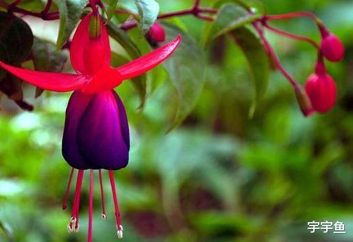 运势|步入9月中旬，4属相紫气东来，苦尽甘来，日子潇潇洒洒