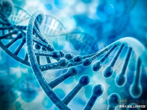 「科学家」美科学家称这种动物是全人类的祖先!这不是恶心大家么?