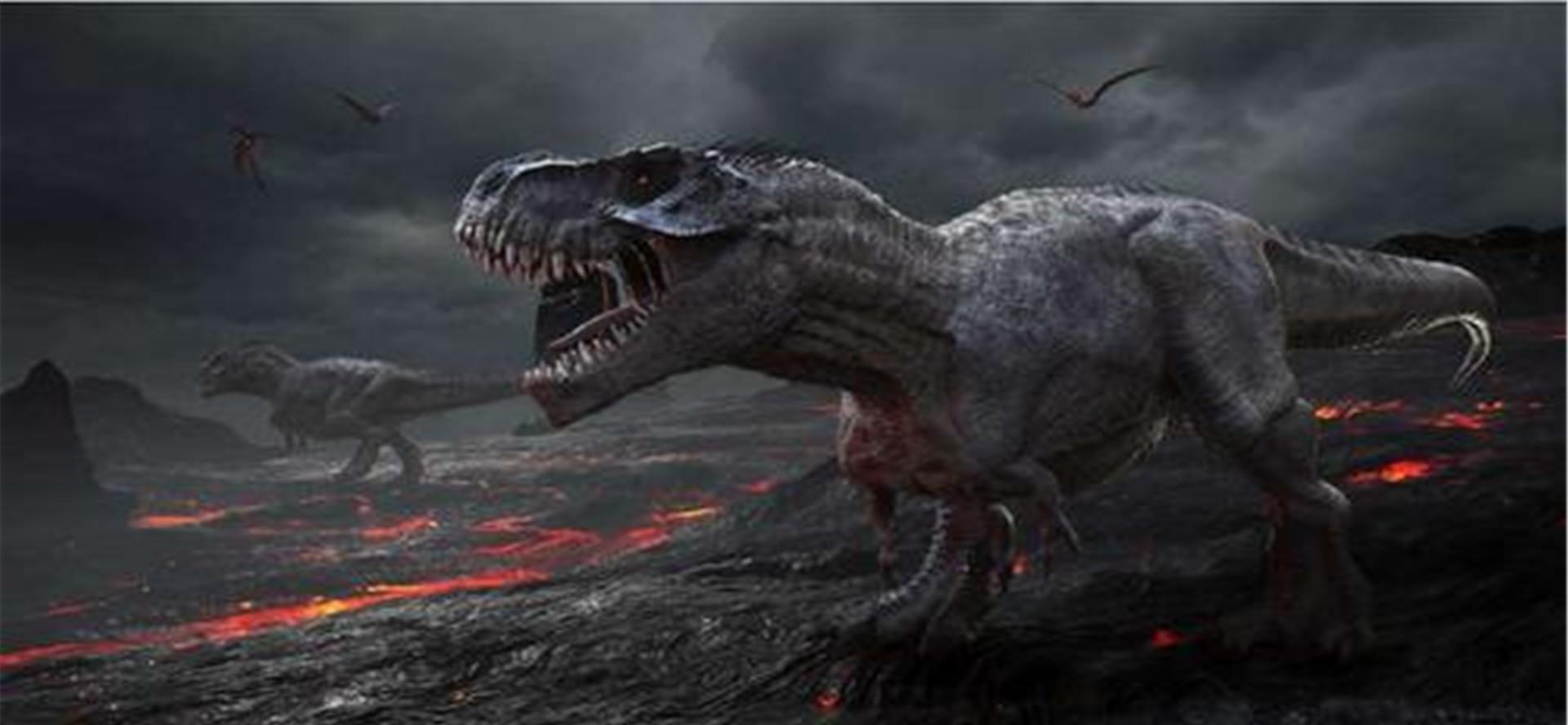 |2020年地球怎么了？已灭绝多年的动物接连出现，难道物种在轮回？