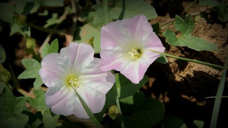 运势|9月末，霉运转好运，发财机会多多，机会留给有准备的4大星座