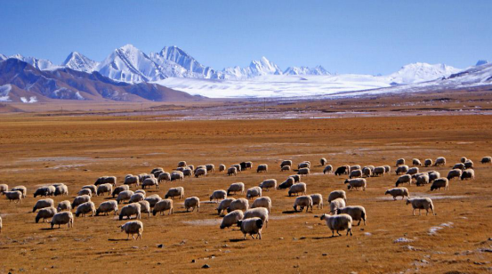 科学家|专家：青藏高原地下发现大秘密，地下有个约15万平方公里的空间