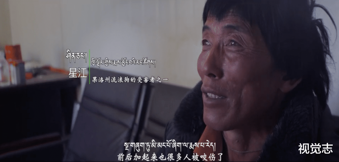 视觉志|那个身价千万的网红,终于被你们毁了