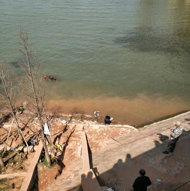 赣江|赣江边再聚“锚鱼佬”,半天鱼获上百斤,大小鲢鳙无一辛免