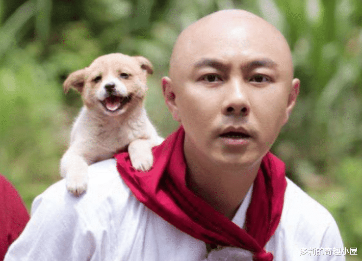 #滤镜#首次当主演就破收视记录,惨遭东家抛弃后,转头被对家接手再破纪录