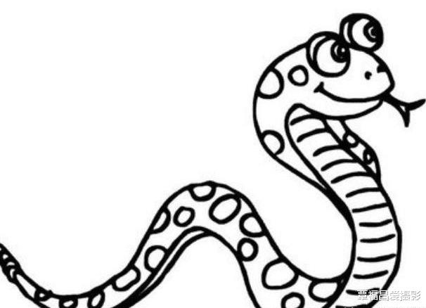 后代|母蛇孵蛋的时候，雄蛇会在一旁守护吗？为什么？