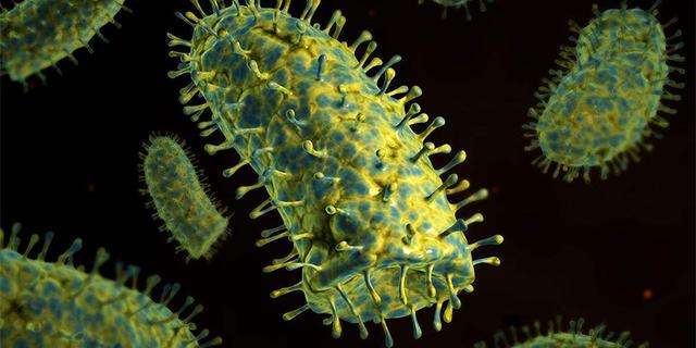 「狂犬病」新冠病毒是否会导致世界末日？人类还能撑到到明年后年吗？