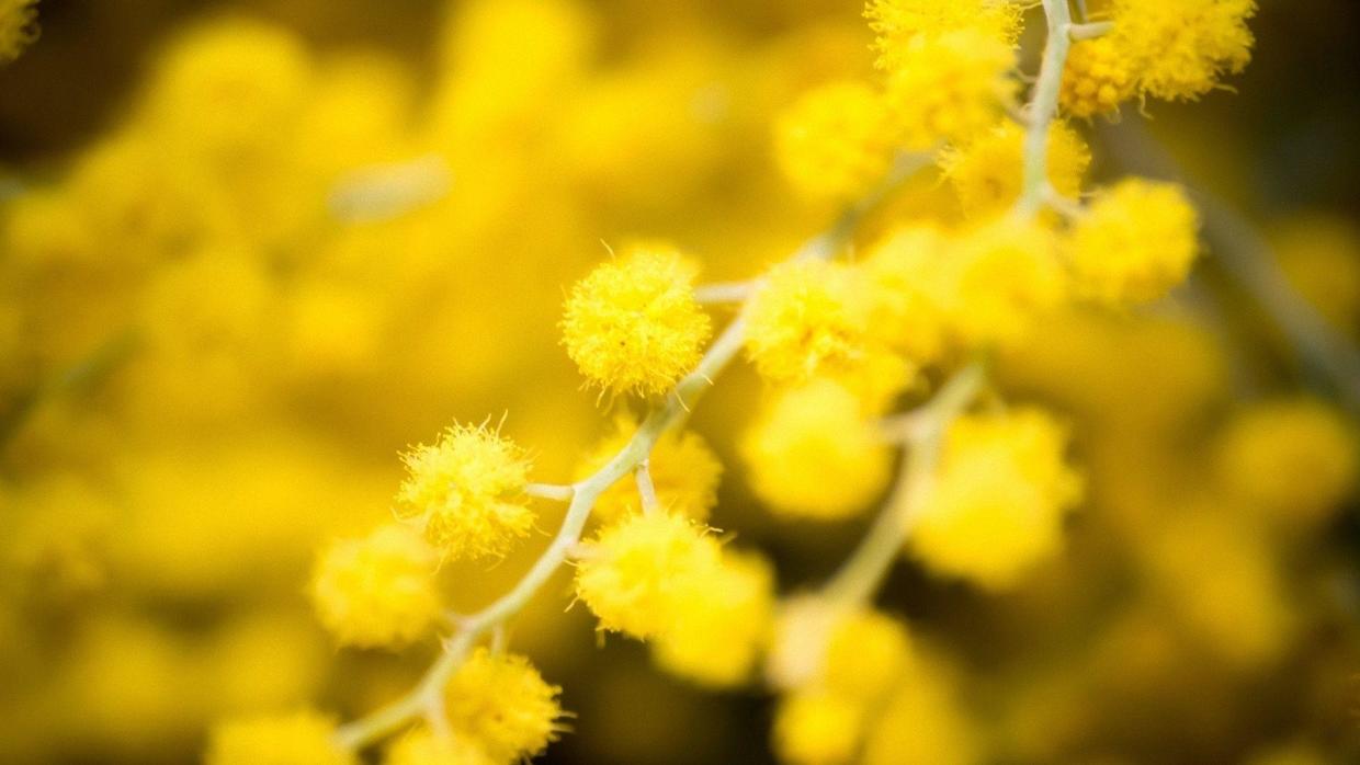 星座男|最容易在家里，大呼小叫的星座，在外却不吱声