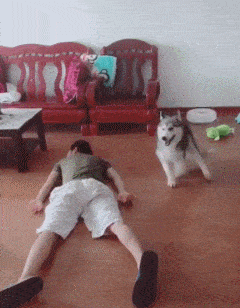 |难怪老公最近爱上了钓鱼,偷偷跟去一看,原来是这样哈哈哈