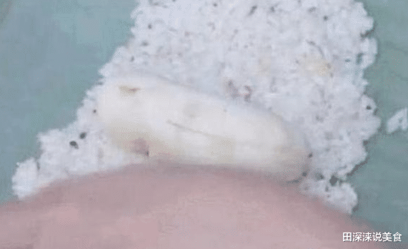 『香蕉』云南人把香蕉当“肉”吃，卖的比肉还贵，路人闻着香味就来买！