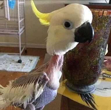 |下班后，同事们都走了，就剩我一个人还留在办公室加班，太苦啦，哈哈哈~