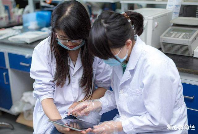 填报志愿|今年高考录取基本结束，4大热门专业出炉，下一届考生可以参考