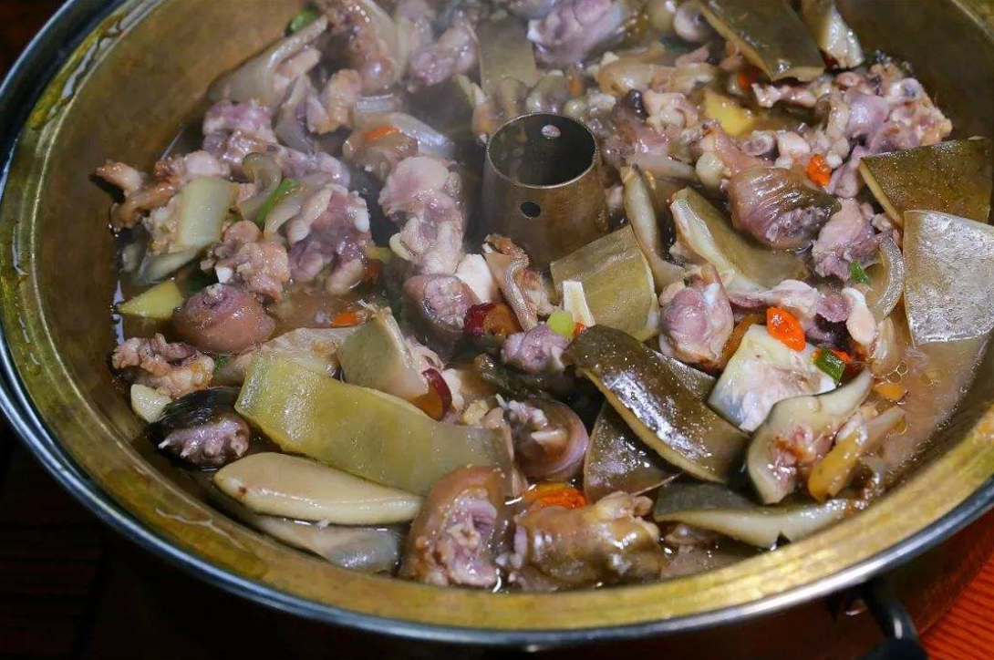 饵料|千岛湖“二十斤大鳖”爬上岸，被岸边钓鱼人捕获，是保护动物？