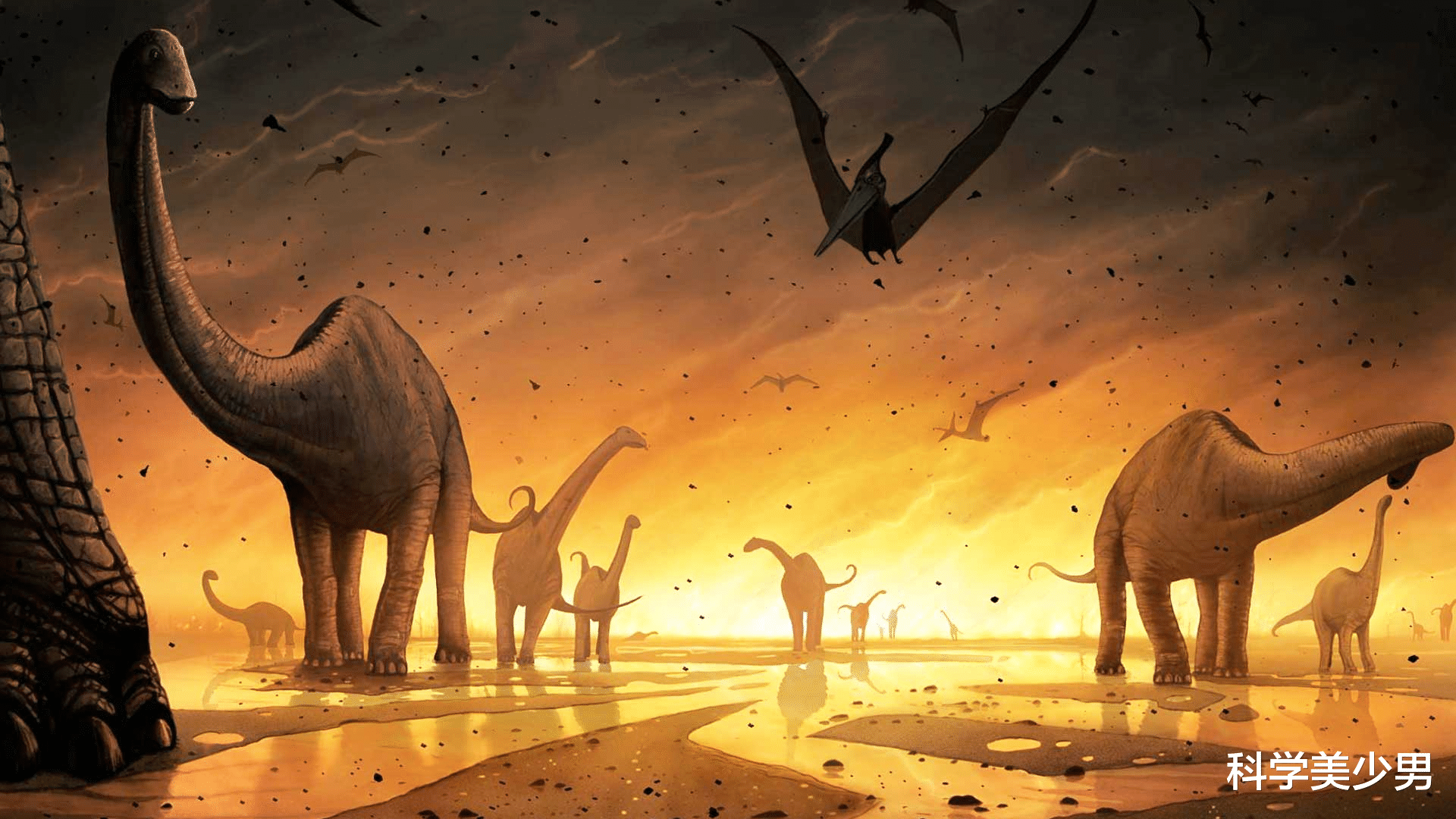 外星人|人类有没有可能是外星文明的产物?地球上最优秀的生物不是人类