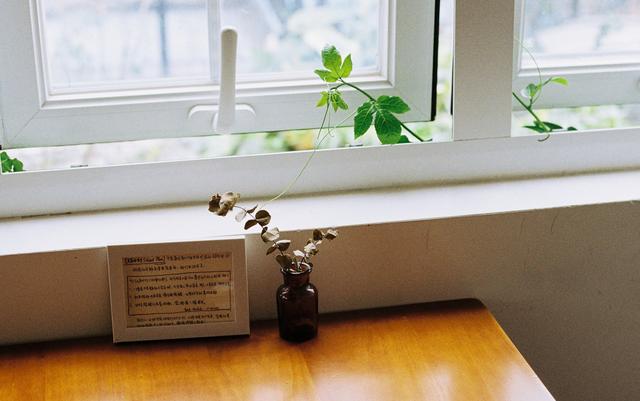 运势|9月，紫气东来，运势如虹，事业蒸蒸日上，万事大吉喜事到的生肖