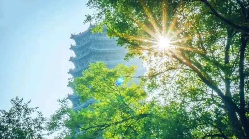 「临床医学专业」大学名单大全|临床医学专业排行榜