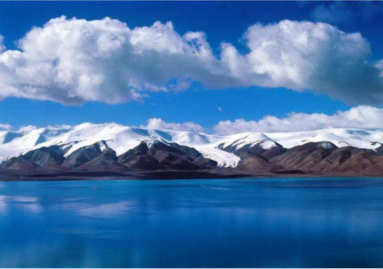 |美丽的可可西里，实际上有多危险？看过这些才知道不能前往