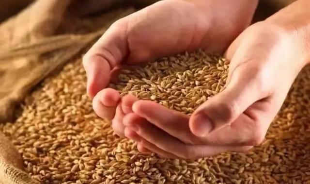 「黄金」假如发生战争，我们的存款、股票、理财资产会怎样？