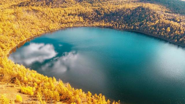 胡杨林|再过30天，全世界都要羡慕死中国了