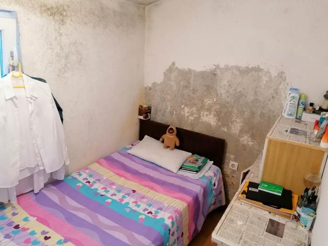 「塞尔维亚」滞留塞尔维亚，东北大姐到农场打工糊口，每天干活12小时