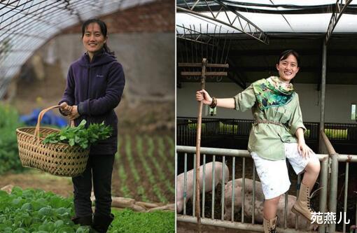 苑燕儿|清华美女博士回农村种地，年盈利800万：读过书的人种地都不一样