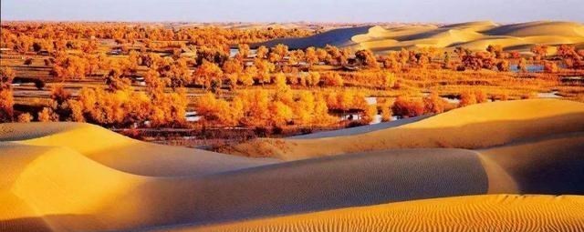 九寨沟|中国塔卡拉玛干沙漠,人们究竟做了什么,让它变成了神奇的绿洲