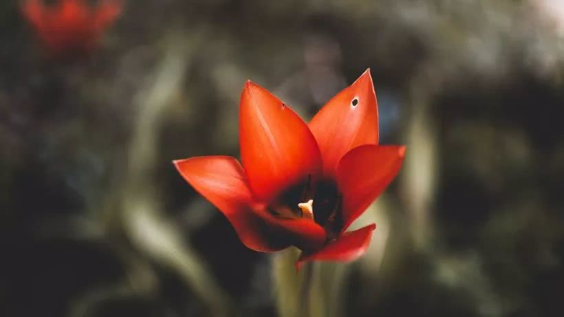 #天蝎座#一旦爱上，就算单相思也不愿放弃的四大星座男生