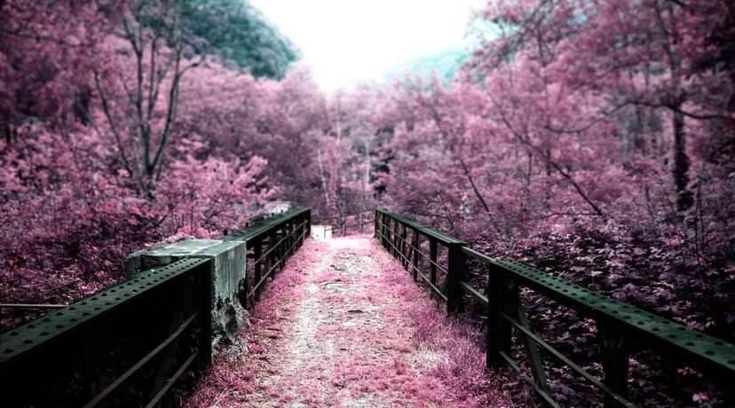 旧爱|10月，桃花降临，旧爱转身，天赐良机，和好如初，破冰相拥