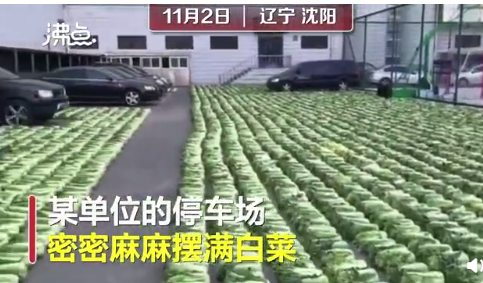 带鱼|沈阳一食堂上热搜!场面像“坦克大战”,这也太馋人了吧!