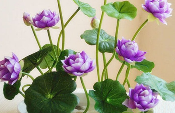 ▲未来一个月,4属相喜事不断,钱财滚滚,大富大贵,事事顺利