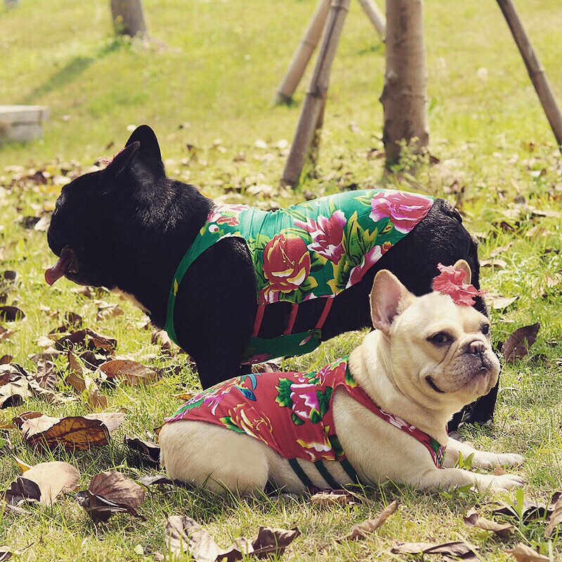 华为|“没有主题的分享”