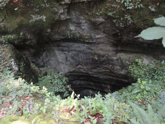 睹图|14米深的乱葬坑挖出250具尸骨,大多是年轻人,都被残忍杀害