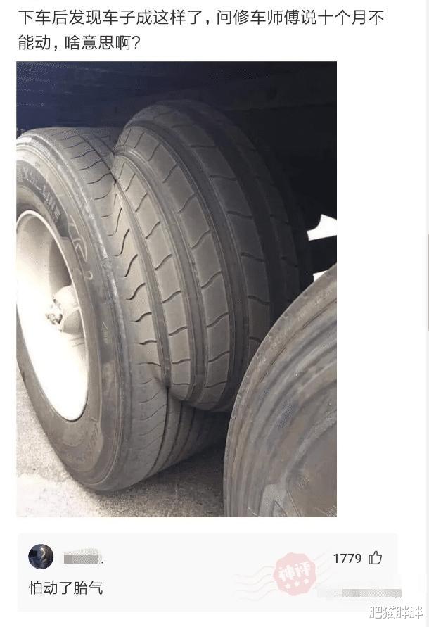 西游记|“当初看西游记时觉得没啥毛病，现在看咋觉得有些不太对劲儿啊！”哈哈哈哈哈～