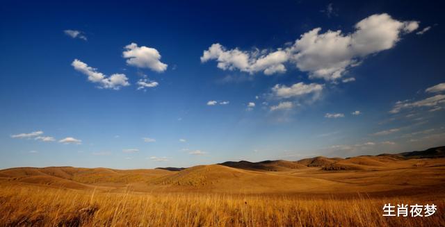 『生肖』6月，爱了倦了，累了碎了，3生肖一身疲惫，不再对爱情抱有幻想