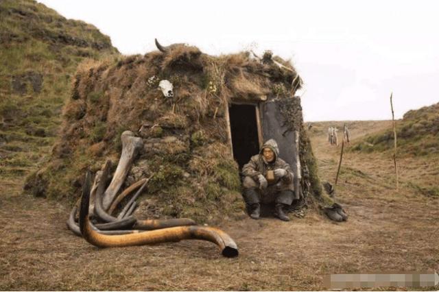 『猛犸象』这种工作一年300天都在休息，薪水上千万却无人敢做，要求胆子大！