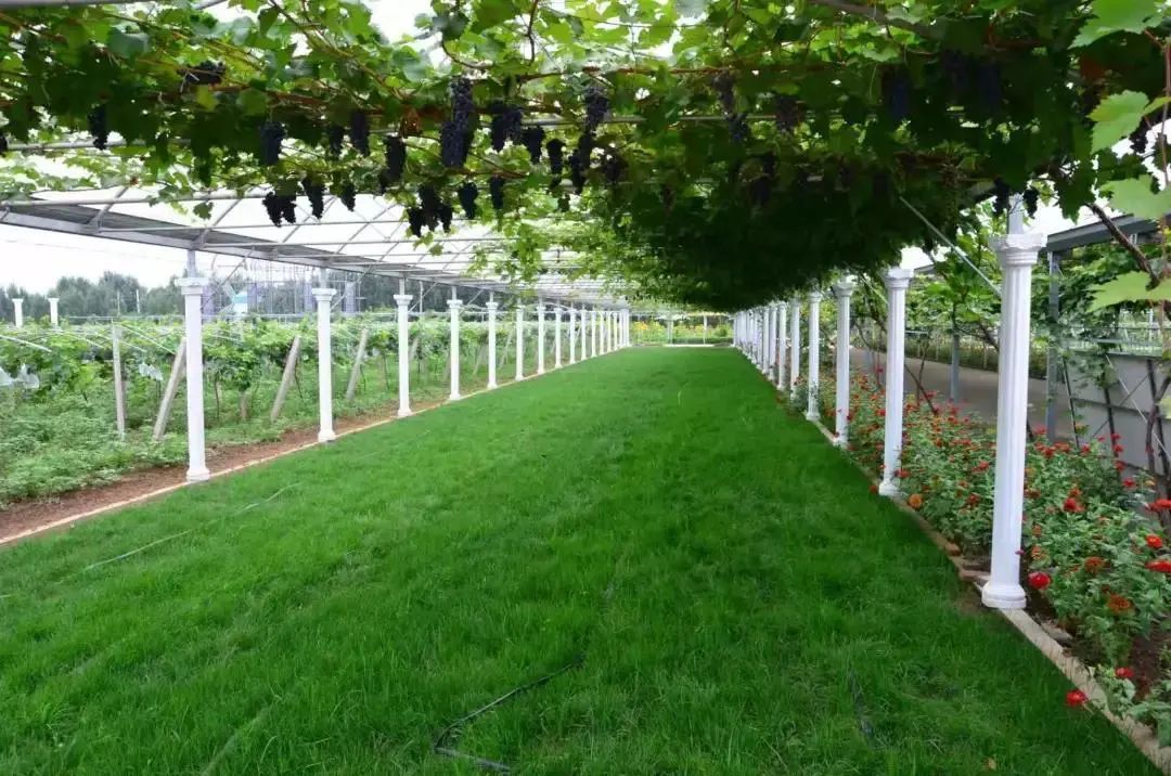 陕西|西安53家A级景区免门票,都是宝藏打卡地!