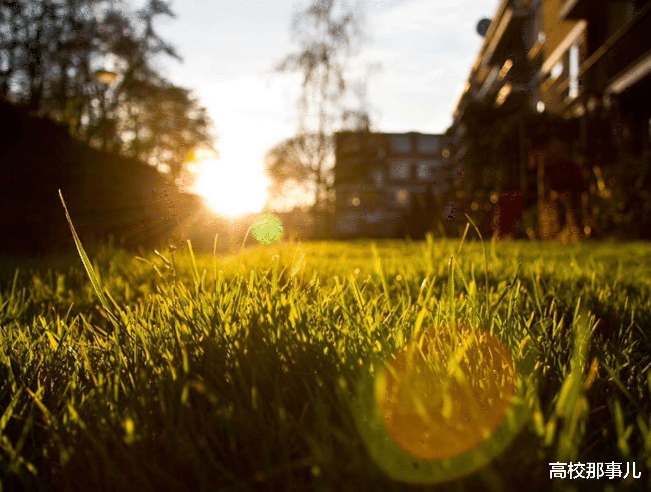 『招生』这所211大学，不仅有二本专业招生，录取分还低，中等生的不二之选