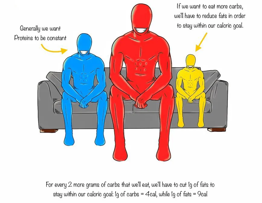 减脂|减这么久了，你怎么还是胖？