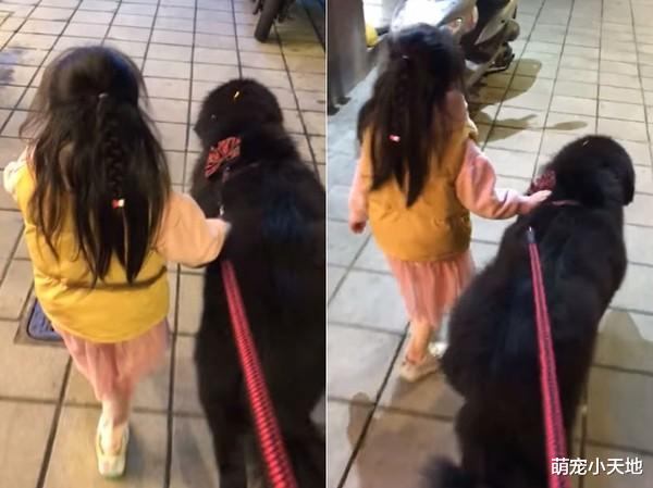 女儿放学没见狗超慌，妈答等等就回家，遭疑孩整屋找完爆哭！