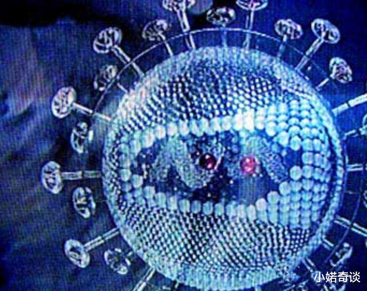 冠状病毒■冠状病毒会在夏天消失吗，专家：有点难！