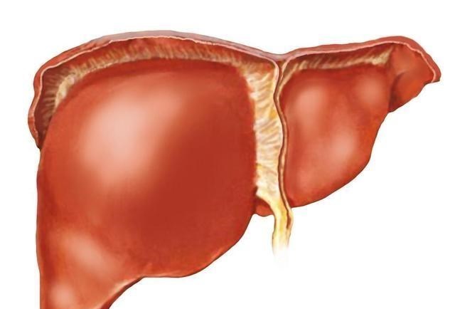 肝脏|肝脏发生病变，身体会有“2黄1臭”，一个不占，恭喜你肝很健康
