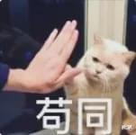 明星|好可惜啊！那些曾惊鸿一瞥偷走大家的心之后，默默的长残了的明星