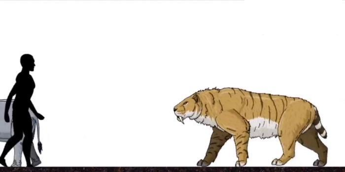 恐龙|远古时期的地球, 曾存在过的可怕生物, 今已全部灭绝
