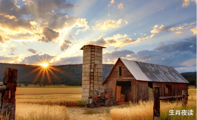 旧爱|11月底，情深意浓，前任心软，朝思暮想，琴瑟和鸣，再续情缘