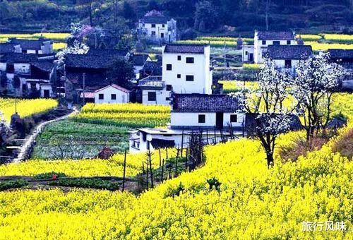 电影■五一假期,江西省创造旅游人数和收入双第一,湖北表现不俗